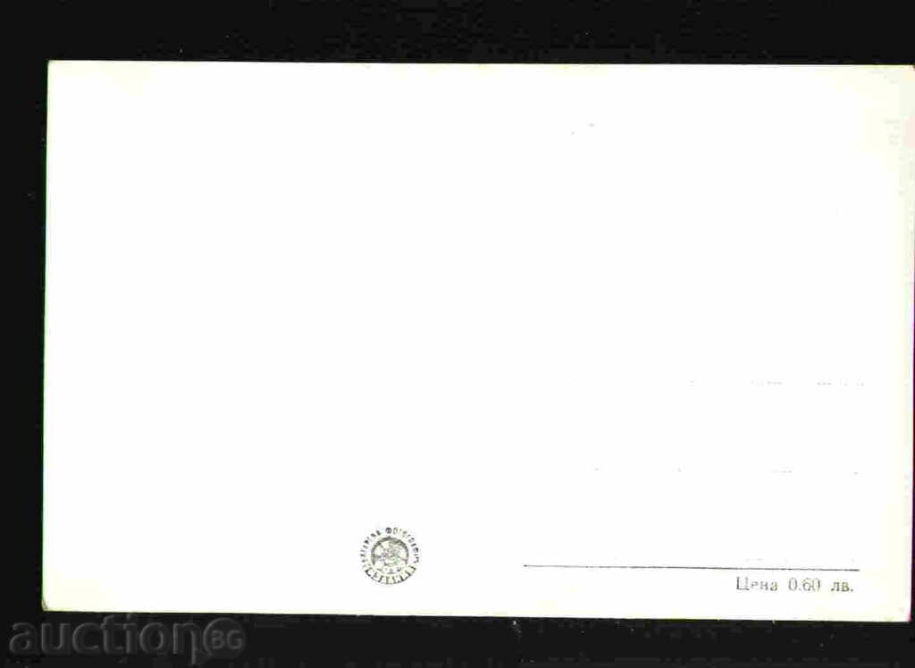 Auction UNDOLA VELINGRAD region 29633 Auction UNDOLA VELINGRAD region 29633