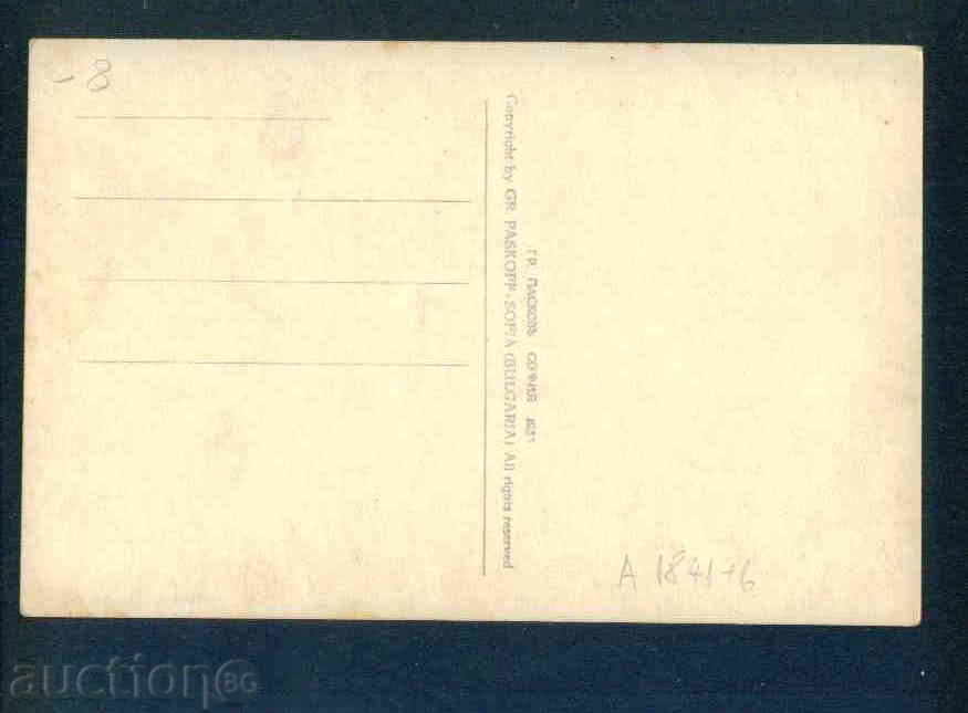 PIRDOP card Bulgaria postcard PIRDOP / A1841 with price 8.00 BGN | € 4.09 PIRDOP card Bulgaria postcard PIRDOP / A1841 with price 8.00 BGN | € 4.09