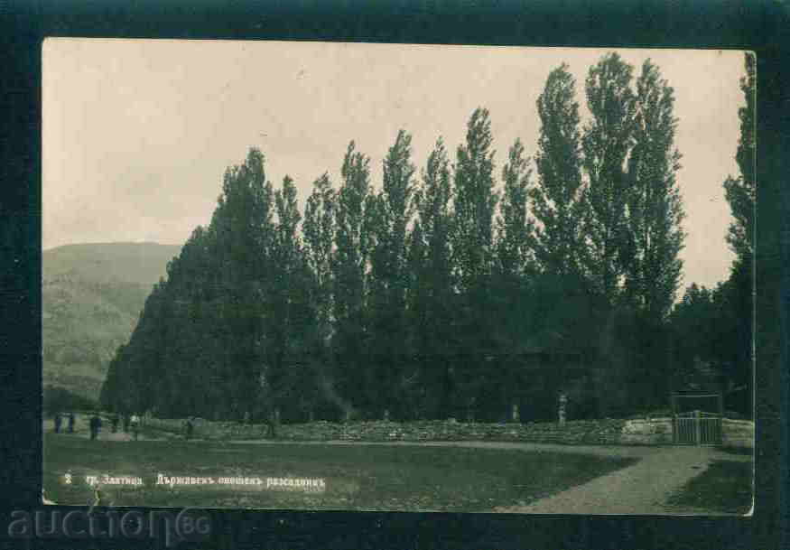 ZLATITSA postcard Bulgaria postcard ZLATITSA / A 1864 with price 8.00 BGN | € 4.09 ZLATITSA postcard Bulgaria postcard ZLATITSA / A 1864 with price 8.00 BGN | € 4.09