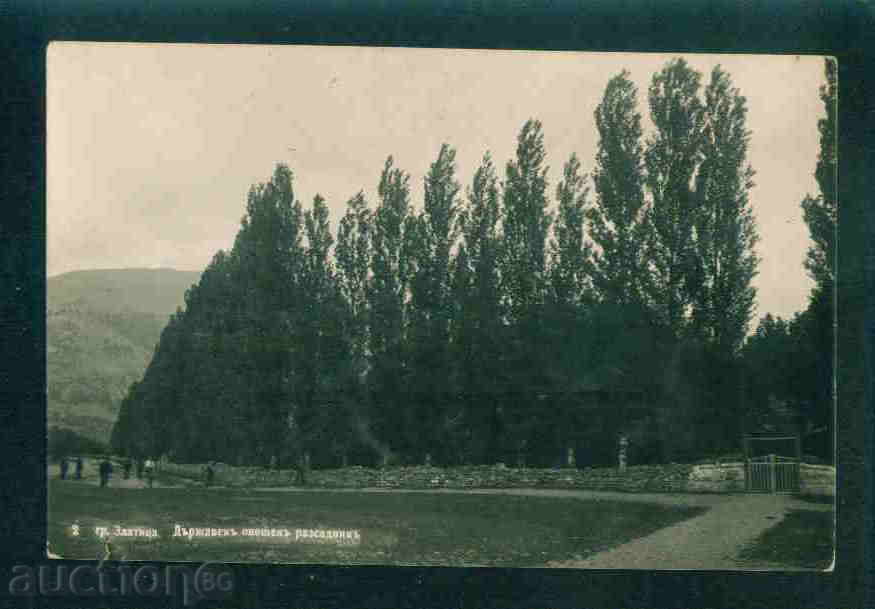 ZLATITSA postcard Bulgaria postcard ZLATITSA / A 1864