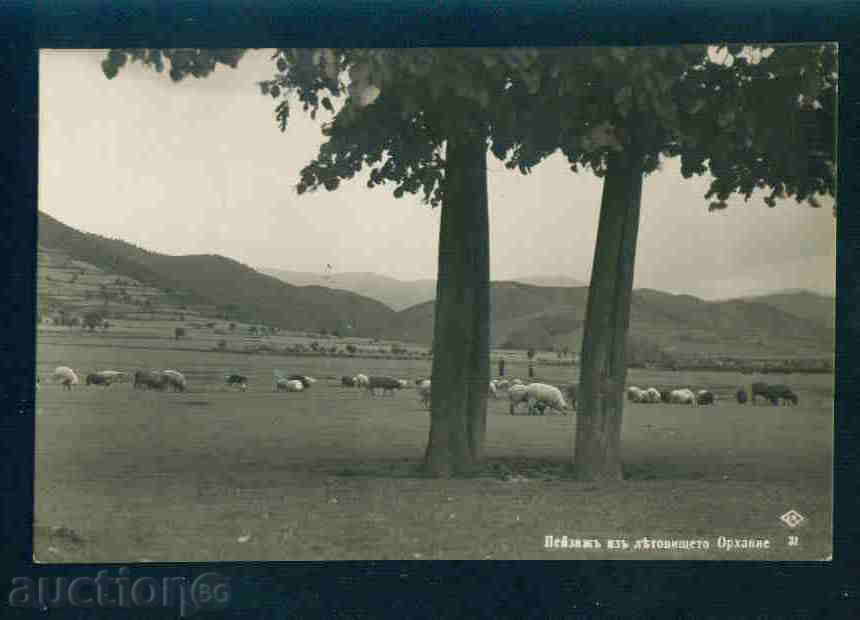 Auction ORHANY card Bulgaria postcard BOTEVGRAD / A 1880 Auction ORHANY card Bulgaria postcard BOTEVGRAD / A 1880