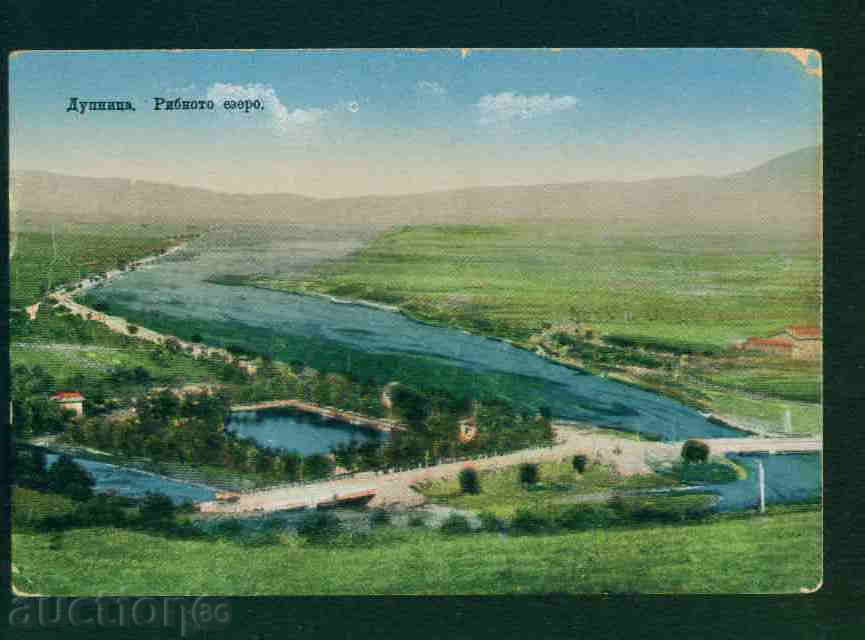 DUPNICA card Bulgaria postcard DUPNITSA / A2065 with price 20.10 BGN | € 10.28 DUPNICA card Bulgaria postcard DUPNITSA / A2065 with price 20.10 BGN | € 10.28