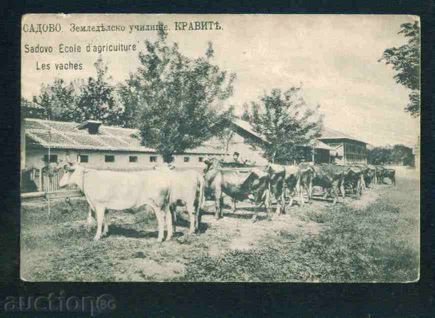 САДОВО село картичка Bulgaria  postcard  ПЛОВДИВ Reg /A2212