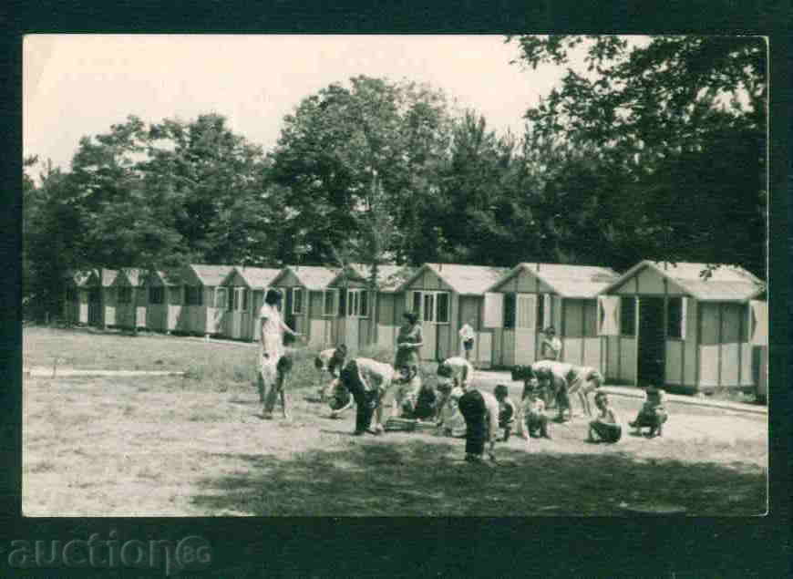 Auction  Krasnovo village photo Bulg postcard PLOVDIV Region / A2219