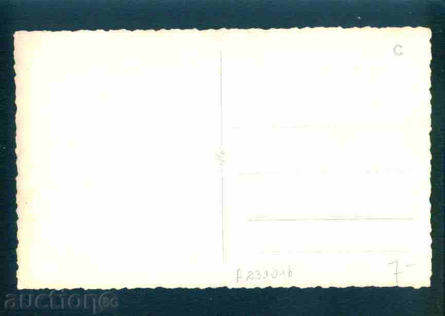 Auction BASKET BANK village postcard postcard ASENOVGRAD Reg / A2310 Auction BASKET BANK village postcard postcard ASENOVGRAD Reg / A2310