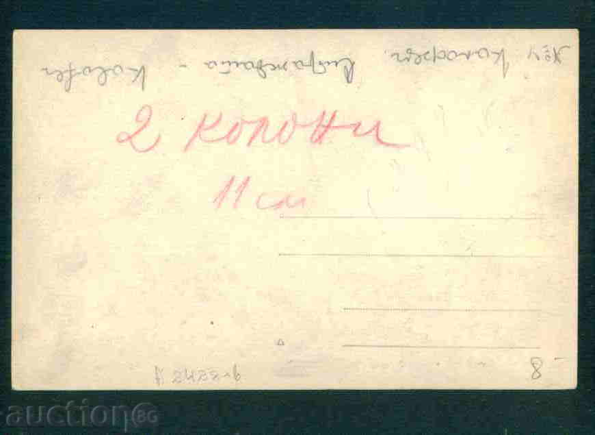 KALOFER card Bulgaria postcard KALOFER / A 2428 with price 8.00 BGN | € 4.09 KALOFER card Bulgaria postcard KALOFER / A 2428 with price 8.00 BGN | € 4.09