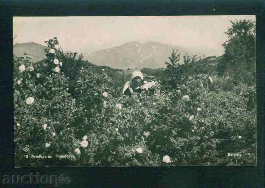 KALOFER card Bulgaria postcard KALOFER / A 2435 with price 12.00 BGN | € 6.14 KALOFER card Bulgaria postcard KALOFER / A 2435 with price 12.00 BGN | € 6.14