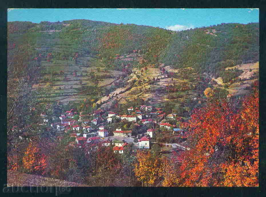 Ravna carte poștală sat Bulgaria carte poștală MONTANA Reg / A2623