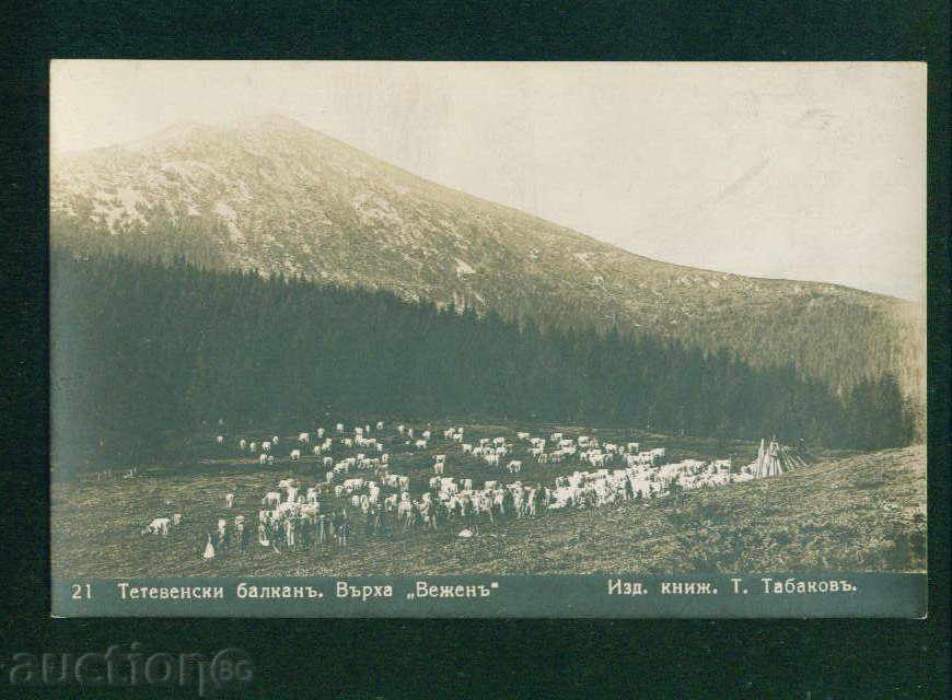 TETEVEN κάρτα Βουλγαρία καρτ-ποστάλ TETEVEN / Α 2715 με τιμή 7.00 BGN | € 3.58 TETEVEN κάρτα Βουλγαρία καρτ-ποστάλ TETEVEN / Α 2715 με τιμή 7.00 BGN | € 3.58