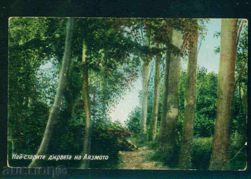 Stara Zagora κάρτα Βουλγαρία καρτ-ποστάλ Στάρα Ζαγόρα / A2757