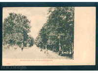 OURTAG card Bulgaria postcard OMURTAG / A 2917