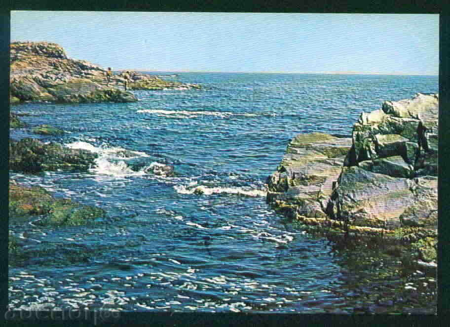 Auction AHTOPOL card Bulgaria postcard AHTOPOL / A 3144 Auction AHTOPOL card Bulgaria postcard AHTOPOL / A 3144