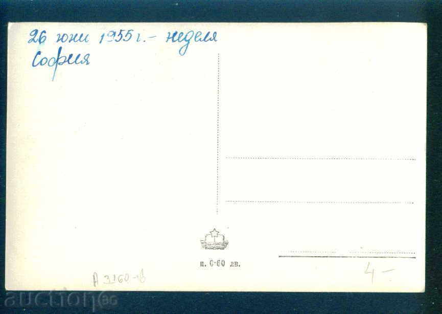 SOFIA - CARDBOARD Bulgaria postcard Sofia / A 3160 with price 4.10 BGN | € 2.10 SOFIA - CARDBOARD Bulgaria postcard Sofia / A 3160 with price 4.10 BGN | € 2.10