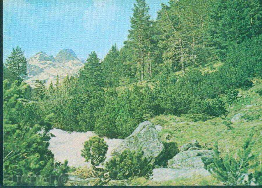 RILA Mountains September D-11594-A / 1988 MALYOVITSA / M253 with price 0.60 BGN | € 0.31 RILA Mountains September D-11594-A / 1988 MALYOVITSA / M253 with price 0.60 BGN | € 0.31