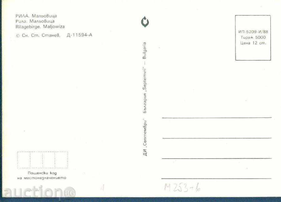 Auction RILA Mountains September D-11594-A / 1988 MALYOVITSA / M253 Auction RILA Mountains September D-11594-A / 1988 MALYOVITSA / M253