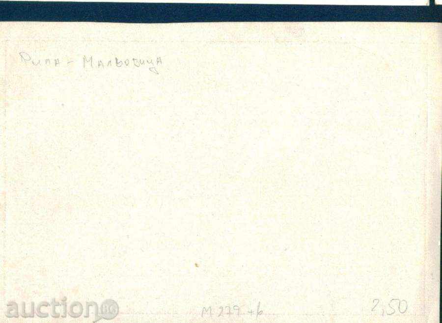 Auction  RILA mountain peak MALOVITSA + HIJA / M279