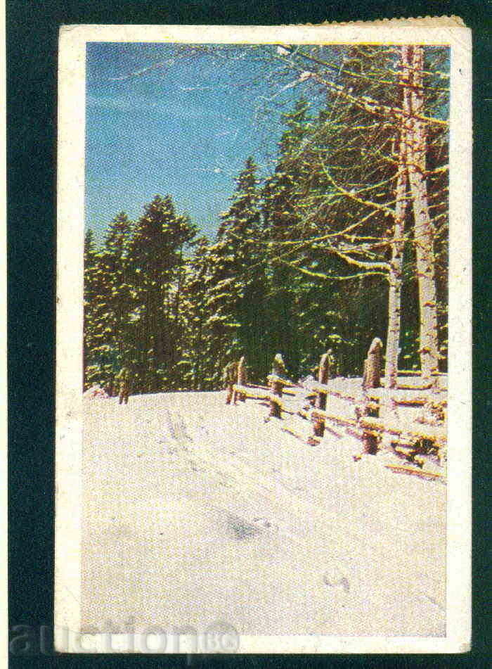 Auction RILA Mountain Science and Art SAMOKOVISHTE / M281 Auction RILA Mountain Science and Art SAMOKOVISHTE / M281