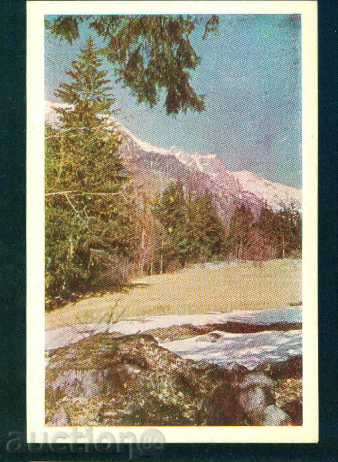 Auction  RILA Mountain Science and Art RILA RILA / M283