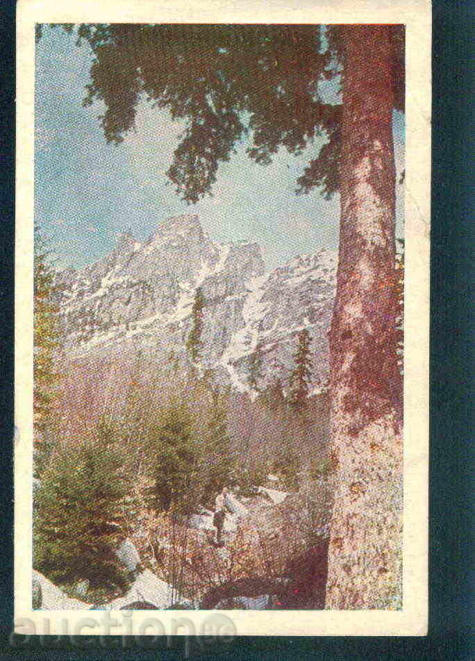 RILA MOUNTAIN SCIENCE AND ART THE TWO HILL / M 284 with price 2.60 BGN | € 1.33 RILA MOUNTAIN SCIENCE AND ART THE TWO HILL / M 284 with price 2.60 BGN | € 1.33