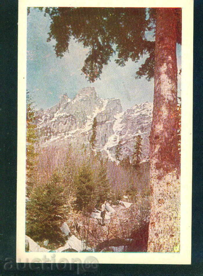 Auction  RILA Mountains Science and Art THE TWO HILL / M 285