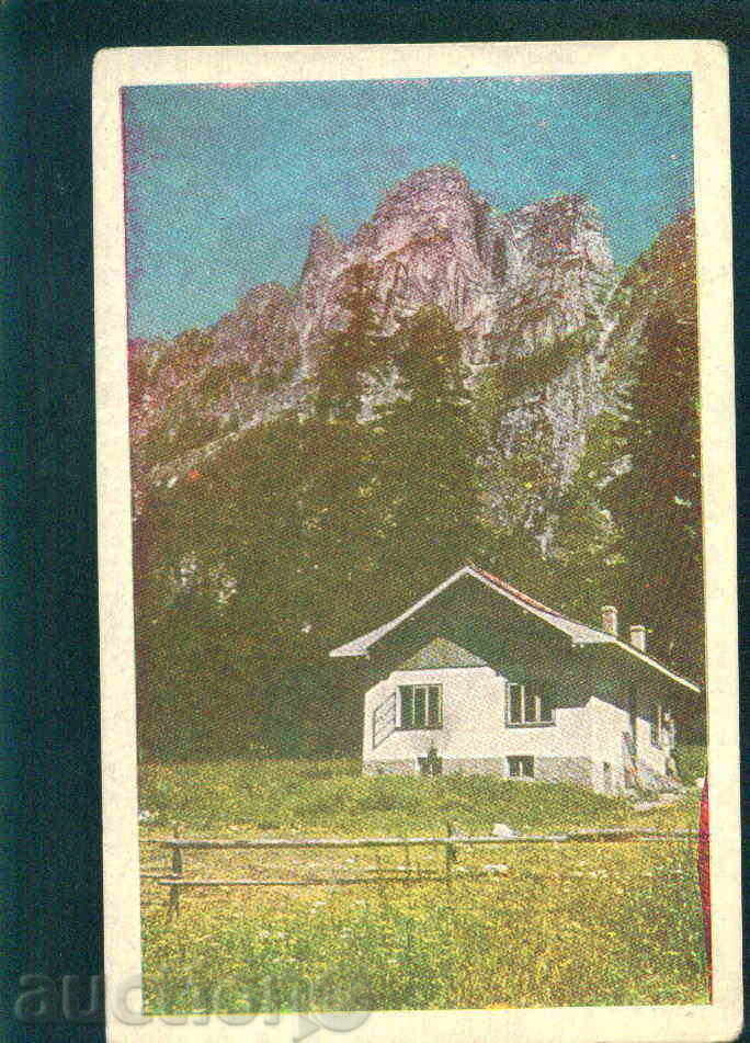 Auction RILA MOUNTAIN SCIENCE AND ART PARTY POLAND / M288 Auction RILA MOUNTAIN SCIENCE AND ART PARTY POLAND / M288