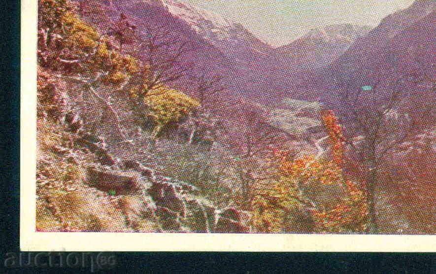 Auction RILA Mountain Science and Art RILSA DOLINA / M291 Auction RILA Mountain Science and Art RILSA DOLINA / M291