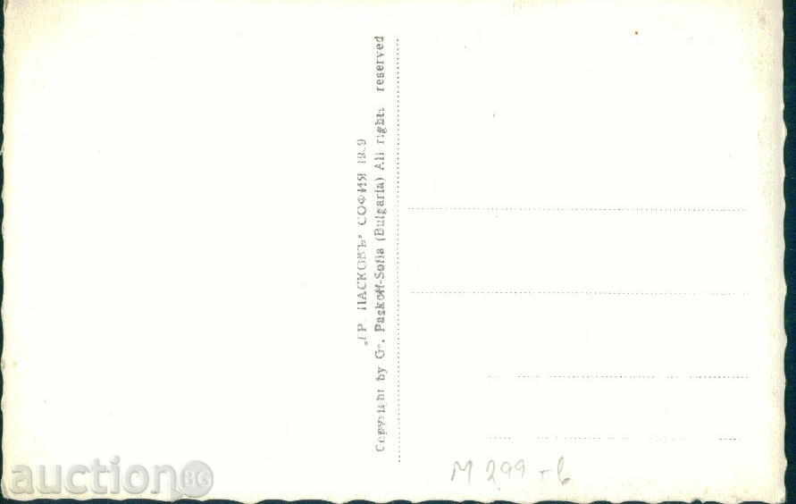 RILA MOUNTAIN PASKOV № 5/1939 - LAKE PANIKISHTE / M299 with price 5.10 BGN | € 2.61