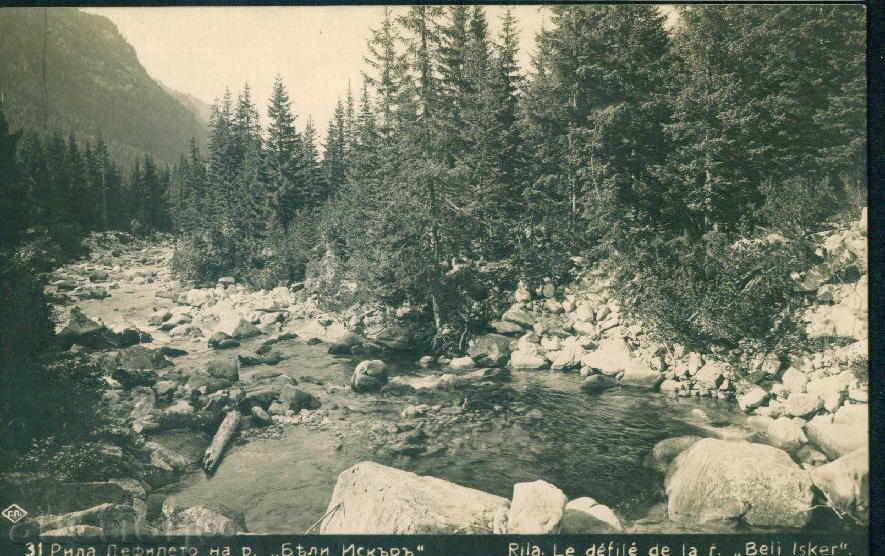 Δημοπρασία Rila Mountain Paskov № 31/19 ?? χρόνια - Beli Iskar ποταμού / M316