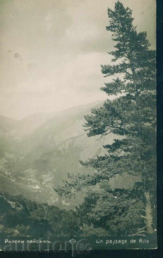 Auction RILA mountain PASKOV №66 / 19 ?? - LAND / M324 Auction RILA mountain PASKOV №66 / 19 ?? - LAND / M324