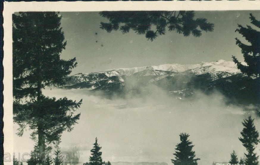 Rila Mountain PASKOV №88 / 1938 valley RIGHT ISKAR / M329