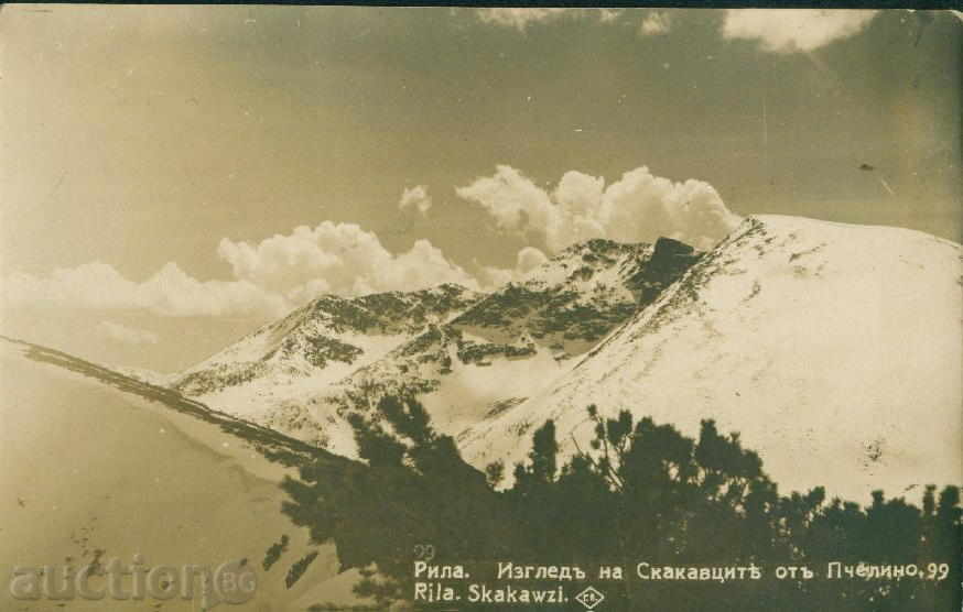 Rila Mountain Paskov №99 / 1929 - SKAKAVTSITE / M341