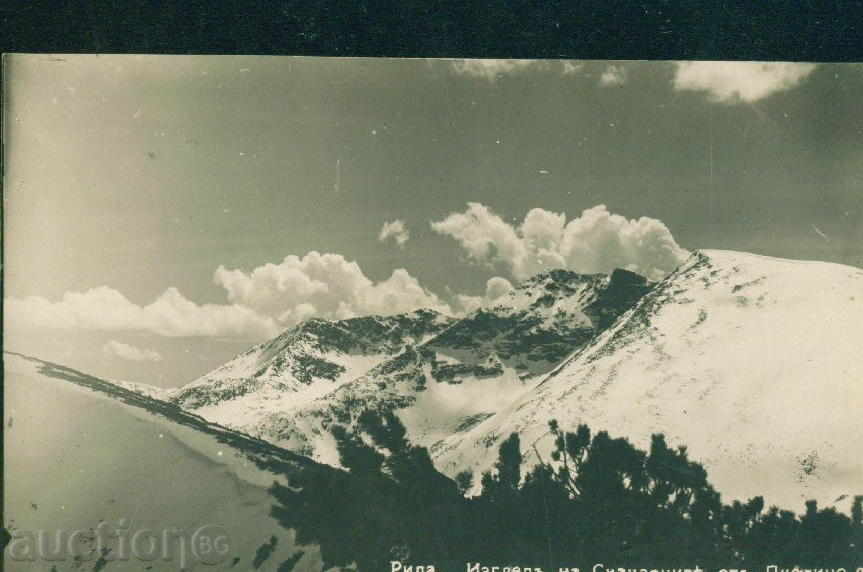 Rila Mountain Paskov №99 / 1929 - SKAKAVTSITE / Μ342