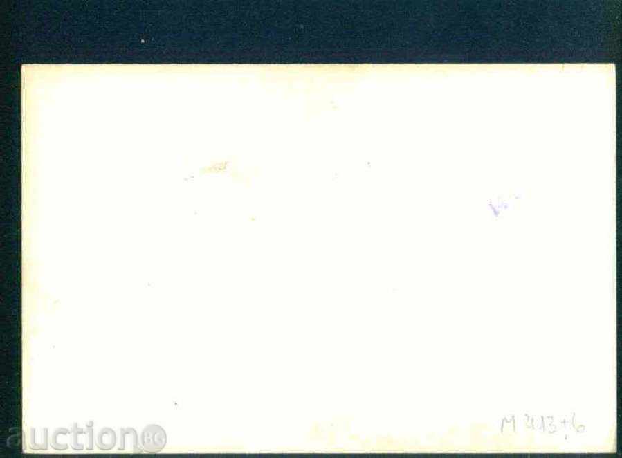 RILA MOUNTAIN THE STRONG LAKE / 19 ?? y / - M413 with price 1.60 BGN | € 0.82 RILA MOUNTAIN THE STRONG LAKE / 19 ?? y / - M413 with price 1.60 BGN | € 0.82