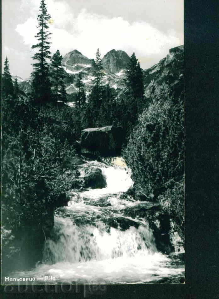 Licitație Muntele Rila Maliovica / 19 ?? pe - / M411