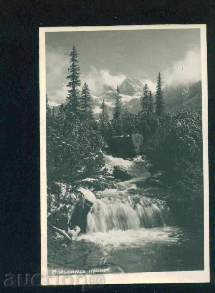 RILA mountain MALOVITSA spring / 1956 - / M398