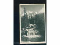 RILA mountain MALOVITSA spring / 1956 - / M398