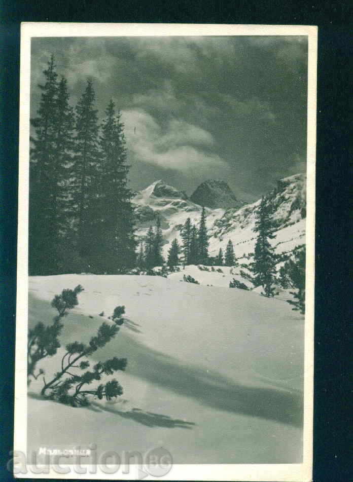 RILA mountain MALOVITZA winter / 1959 - / M395