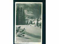 Muntele Rila Maliovica iarna / 1959 - / M395