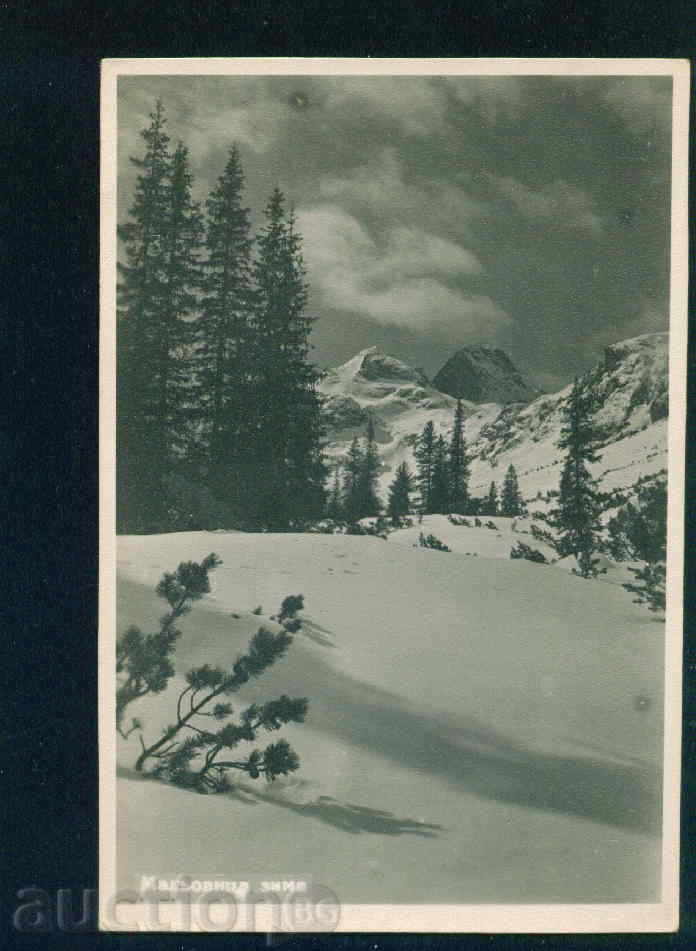 Muntele Rila Maliovica / 19 ?? pe - / M394 cu preț 1.60 BGN | € 0.82 Muntele Rila Maliovica / 19 ?? pe - / M394 cu preț 1.60 BGN | € 0.82