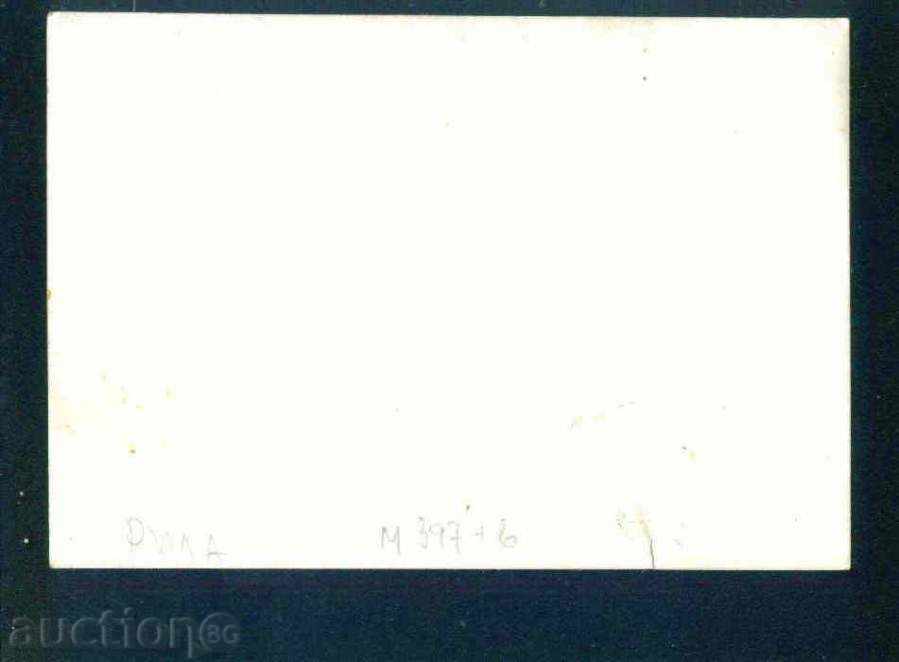 Auction RILA MOUNTAIN / 19 ?? y / - M397 Auction RILA MOUNTAIN / 19 ?? y / - M397