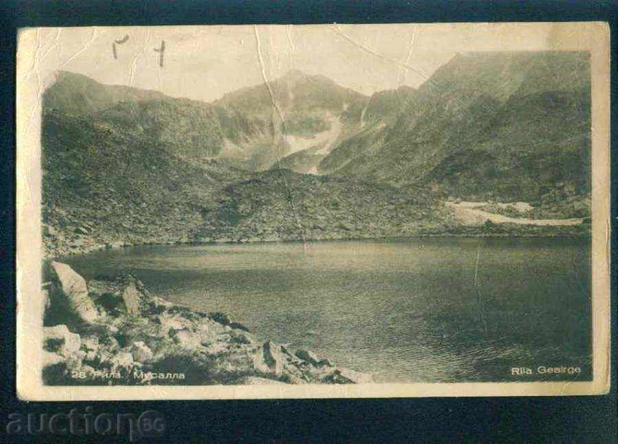 Rila mountain MUSALLA № 28/19 ?? y / - M392 with price 2.10 BGN | € 1.07