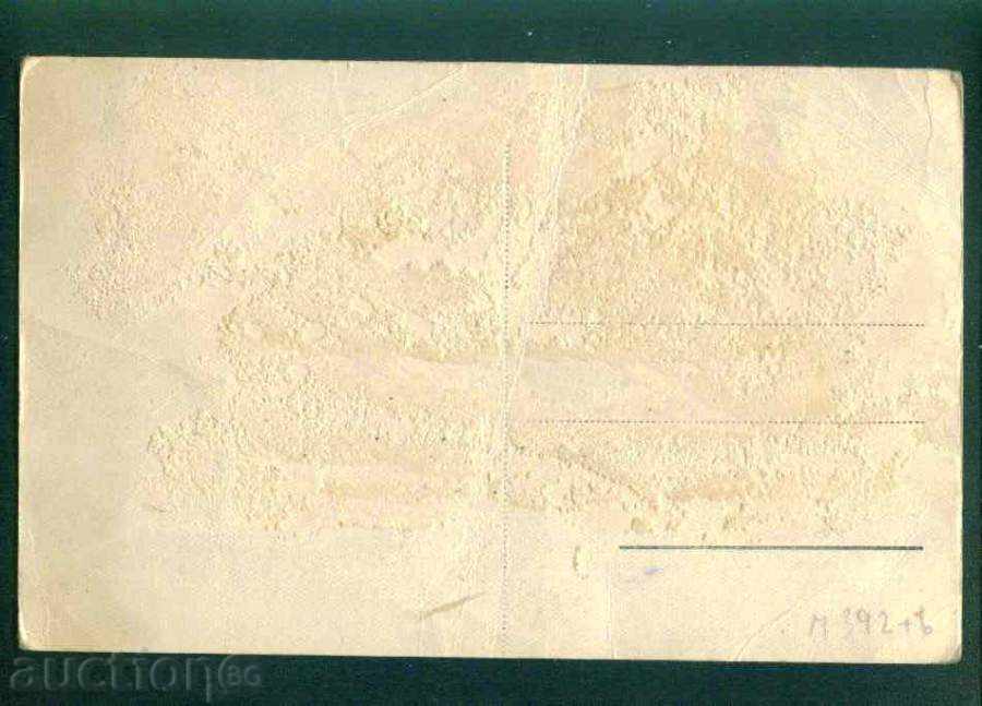 Auction  Rila mountain MUSALLA № 28/19 ?? y / - M392