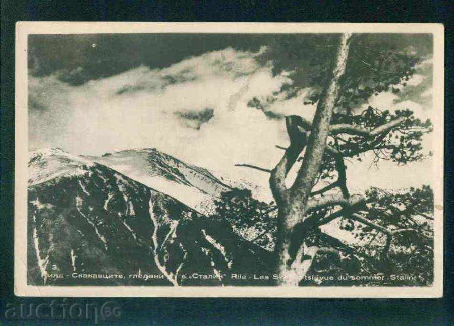 РИЛА планина Българска Фотография №3/1956г. вр СТАЛИН /M384