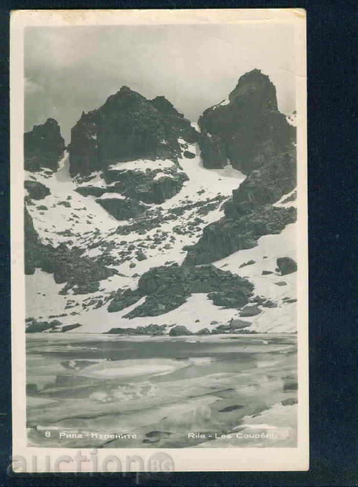 РИЛА планина Българска Фотография №8 / 1956 г.КУПЕНИТЕ /M385
