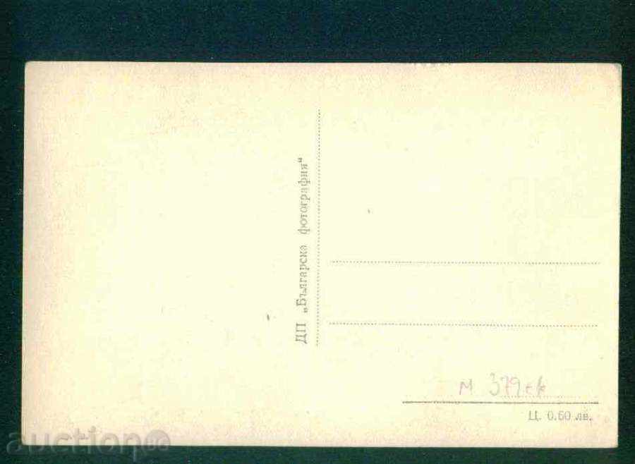 RILA mountain BDP. Photography №6 / 1956 г МАЛЬОВИЦА / M379 with price 2.60 BGN | € 1.33