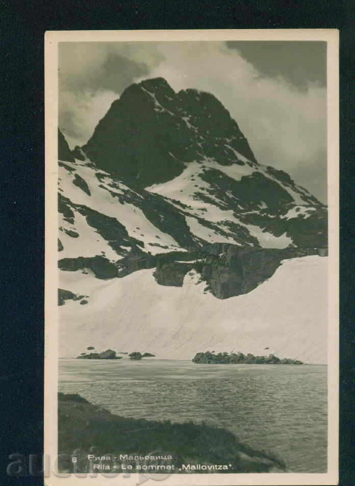 Auction  RILA mountain BDP. Photography №6 / 1956 г МАЛЬОВИЦА / M379