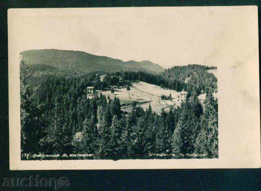 Auction RILA MOUNTAIN PHOTO PUBLICATIONS №17 summer. V. KOLAROV / M375 Auction RILA MOUNTAIN PHOTO PUBLICATIONS №17 summer. V. KOLAROV / M375