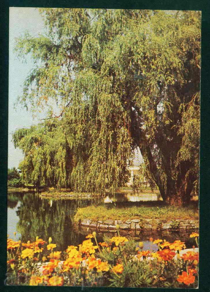 Razlog card September # D 26083 A / 1985 Razlog / A 5121 with price 1.20 BGN | € 0.61 Razlog card September # D 26083 A / 1985 Razlog / A 5121 with price 1.20 BGN | € 0.61