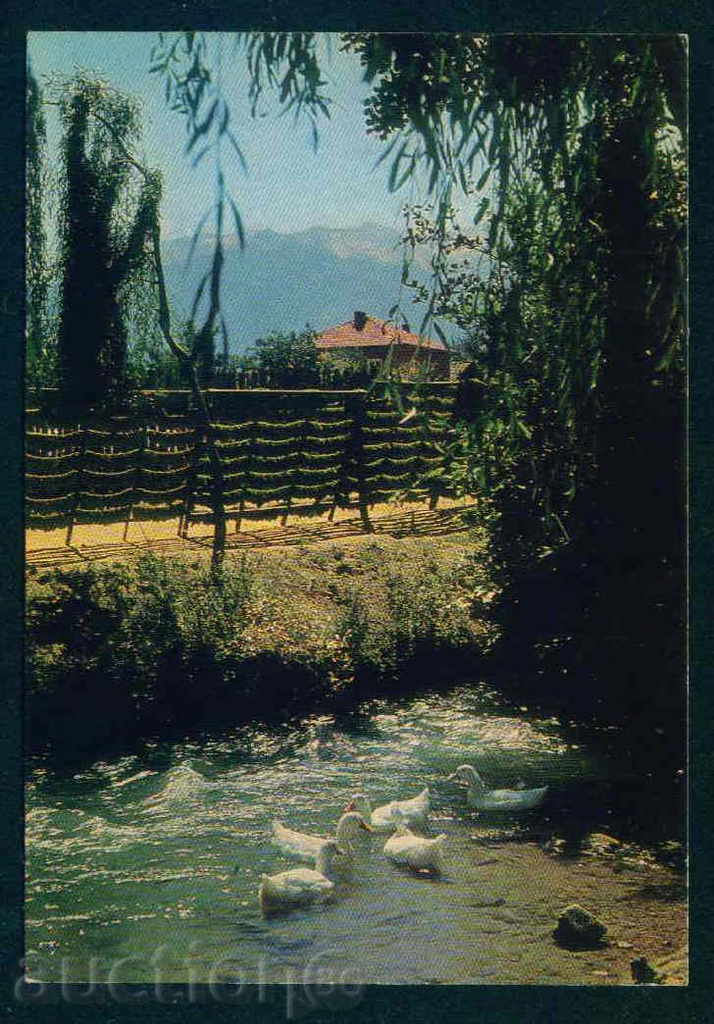 Auction  РАЗЛОГ card PHOTOGRAPHY # Accl 2001/19 ?? Razlog / A 5120