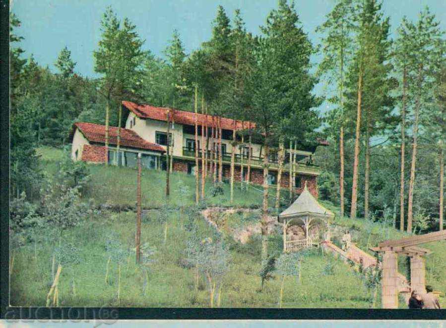 Auction RAZLOG card PHOTOGRAPHY # A - 14/1960 Razlog / A 5125 Auction RAZLOG card PHOTOGRAPHY # A - 14/1960 Razlog / A 5125